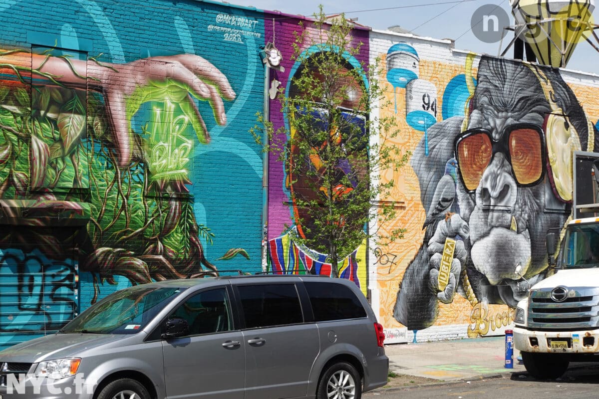 Bushwick monkey street art Brooklyn