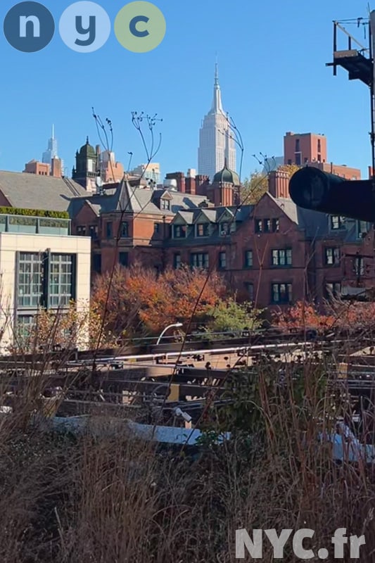Vue sur le plus majestueux building depuis la high line