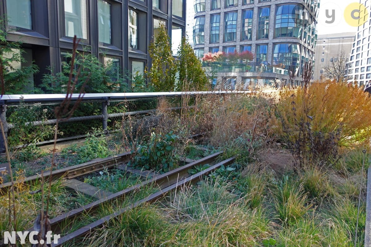 Entretien de la High Line par l'association