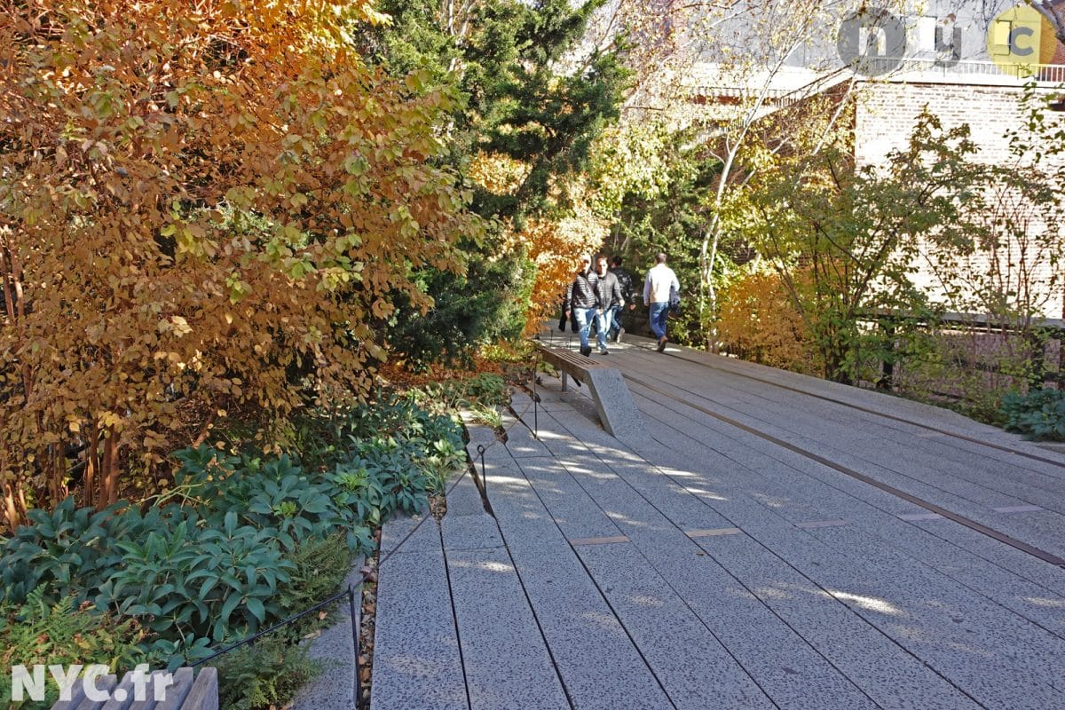 High Line en automne