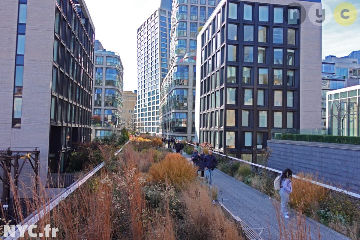 Section centrale de la High Line