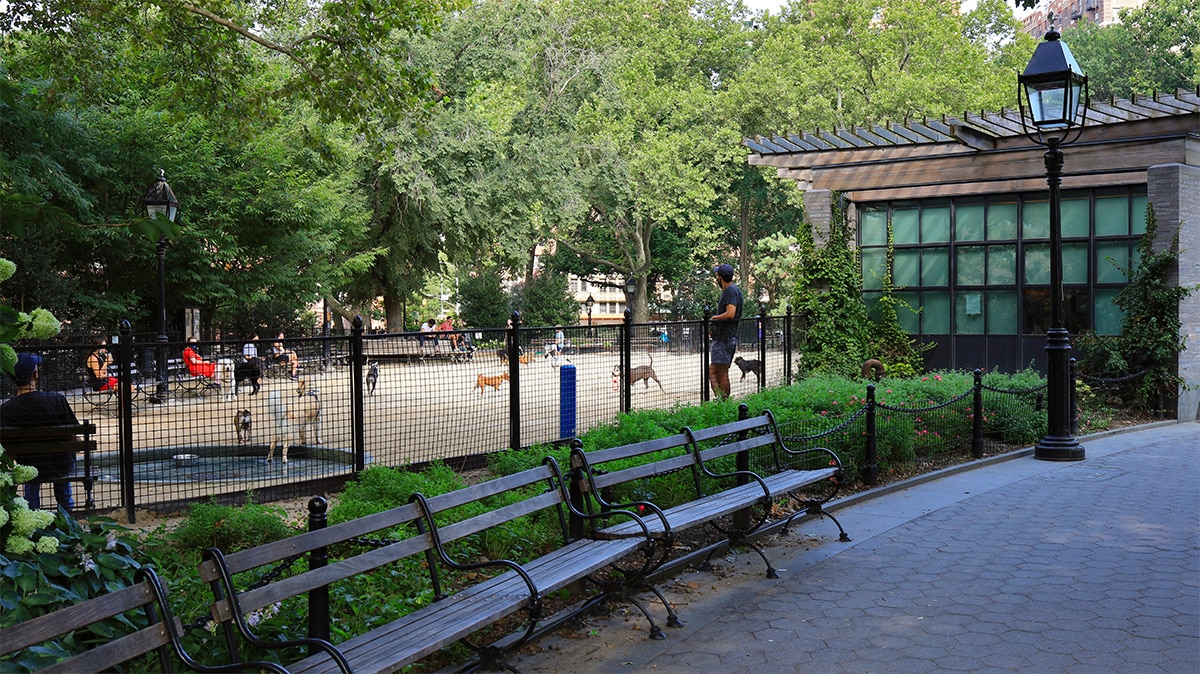 Les bancs devant le parc canin de Washington Square Park