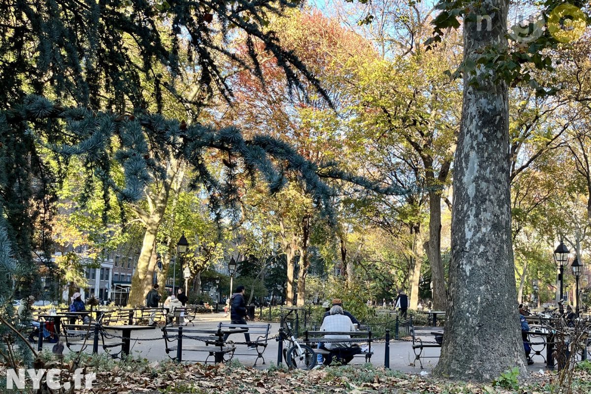Washington Square Park avec ses joueurs échecs