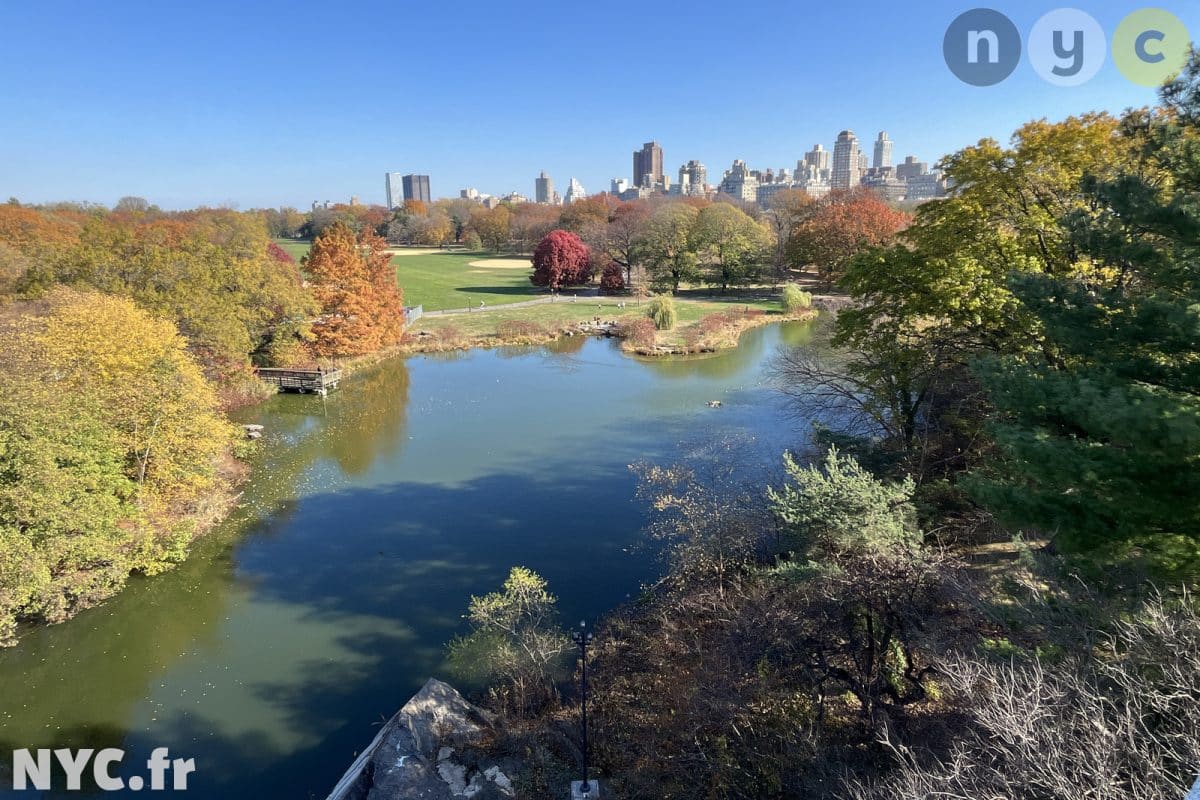 Central Park depuis le Belvedere Castle