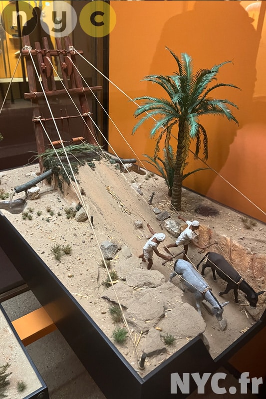 hall culturel musée américain d'histoire naturelle