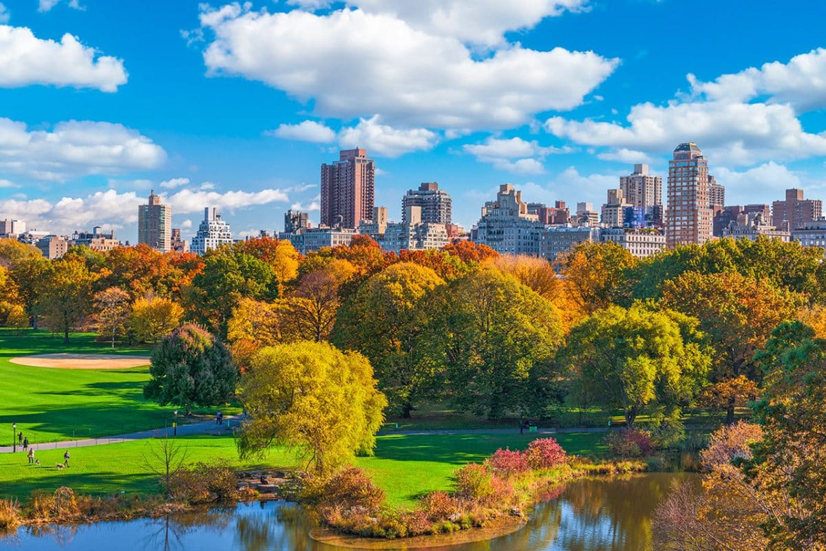 automne à Central Park