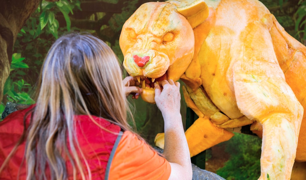 sculpture de citrouilles