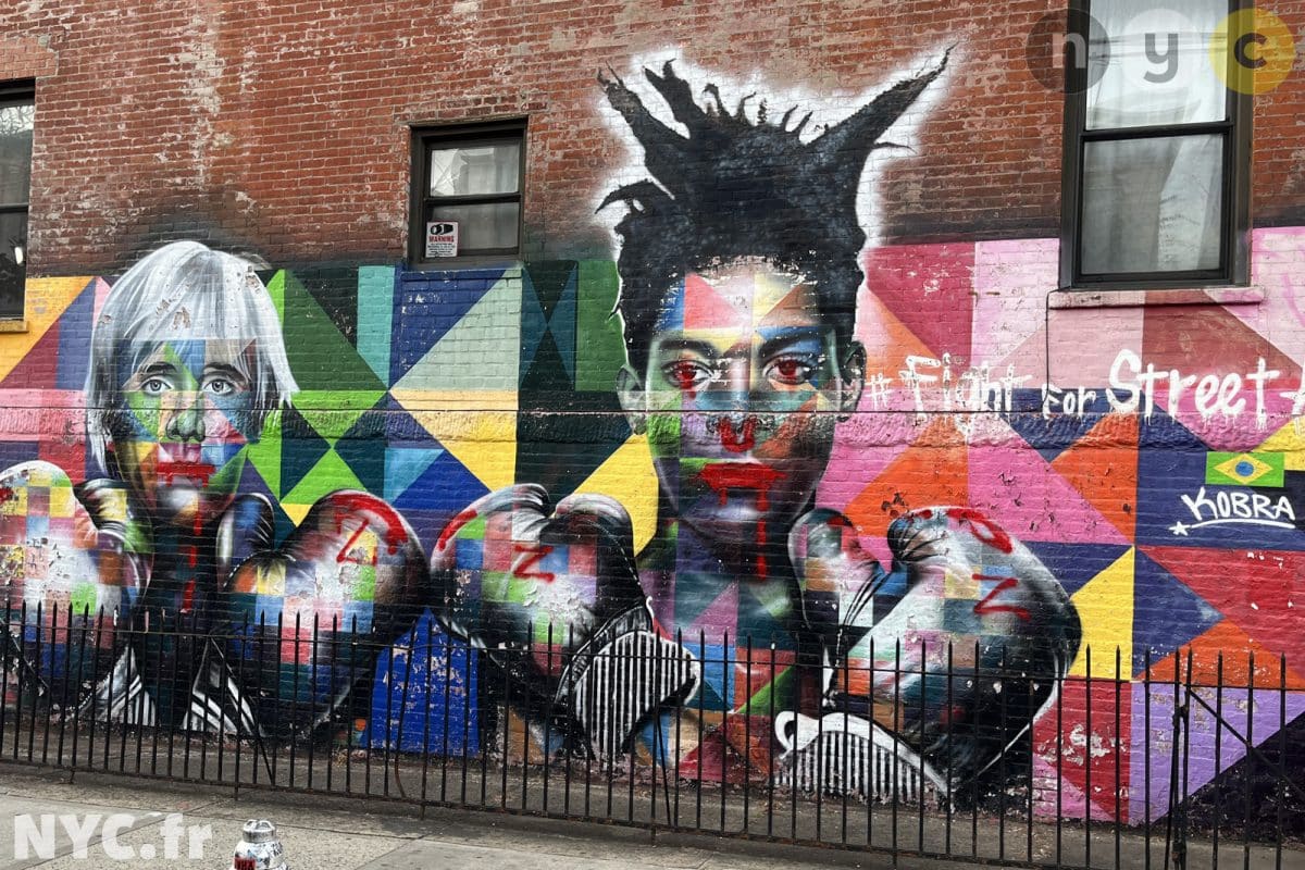 Fight for Street Art de Kobra