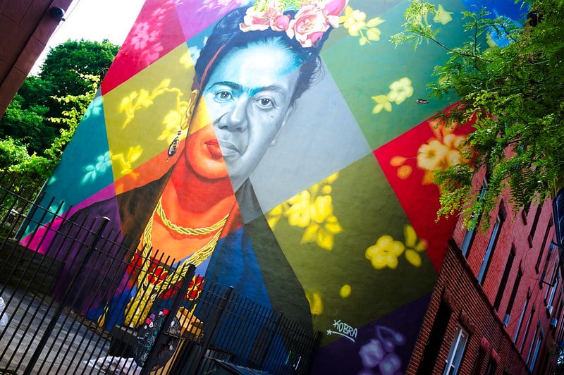 Frida Diego de Kobra