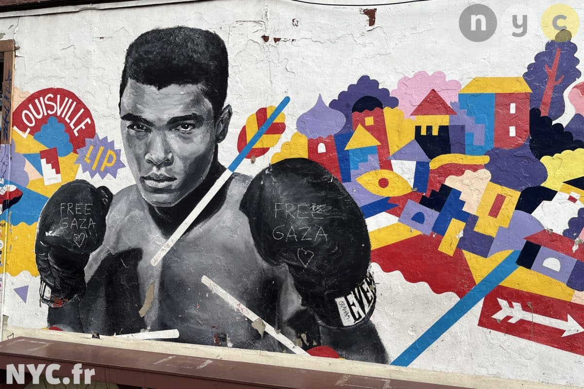 Muhammad Ali de Brogla